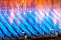 Glen Anne gas fired boilers